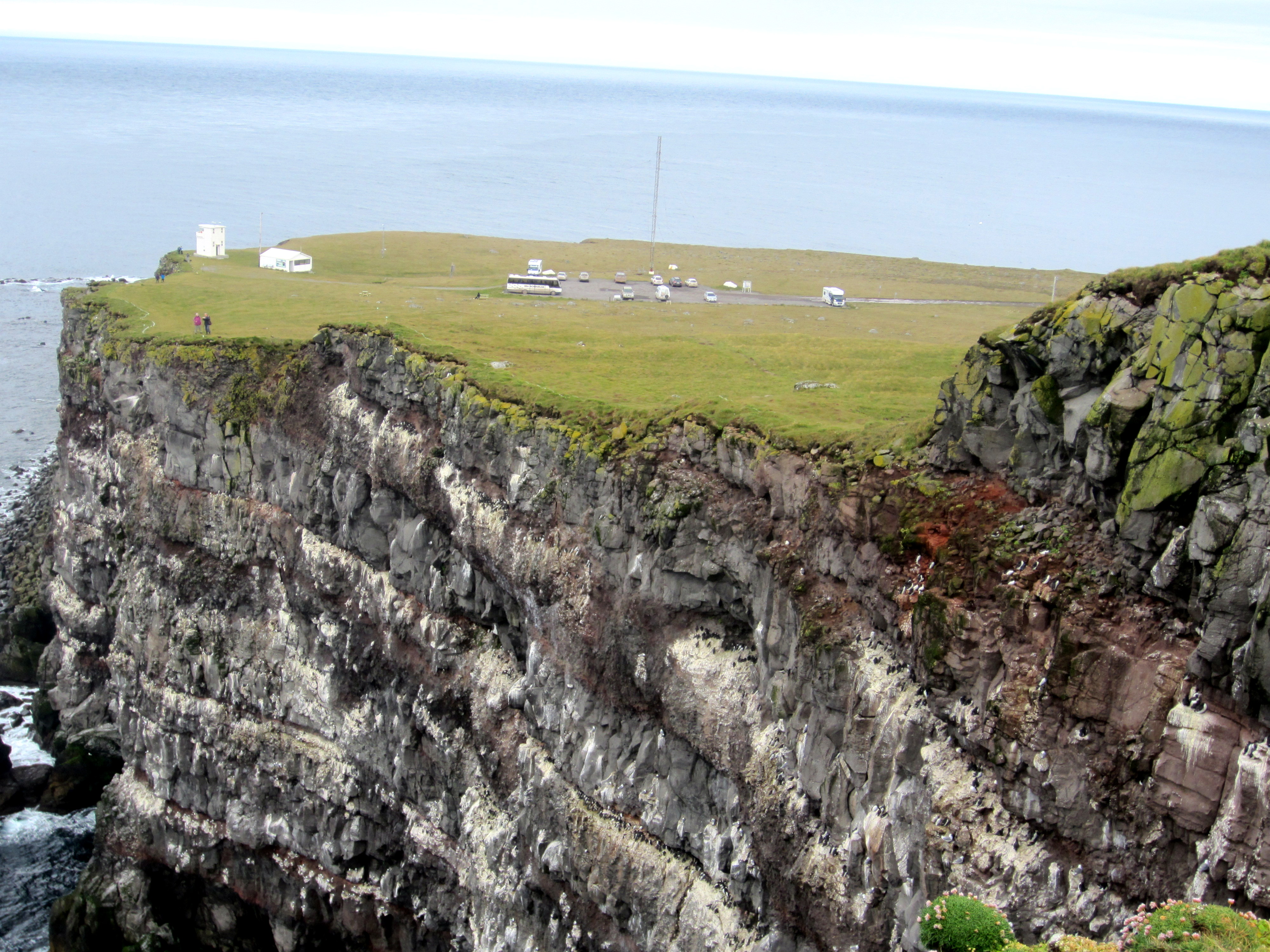 Látrabjarg In The Westfjords The Largest Sea Bird Cliff In Europe