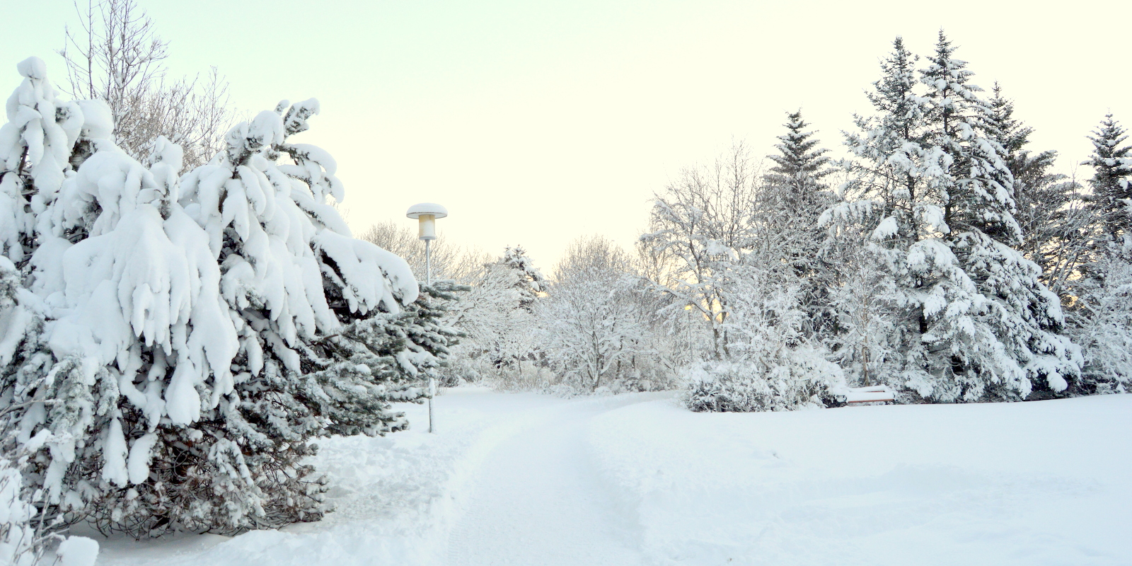 Snow in Reykjavík - the beautiful Laugardalur valley