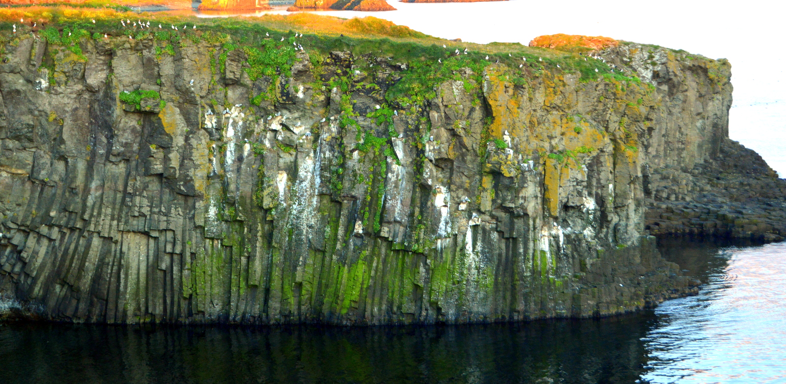 Grímsey Island Express - the Gem of the Arctic Circle