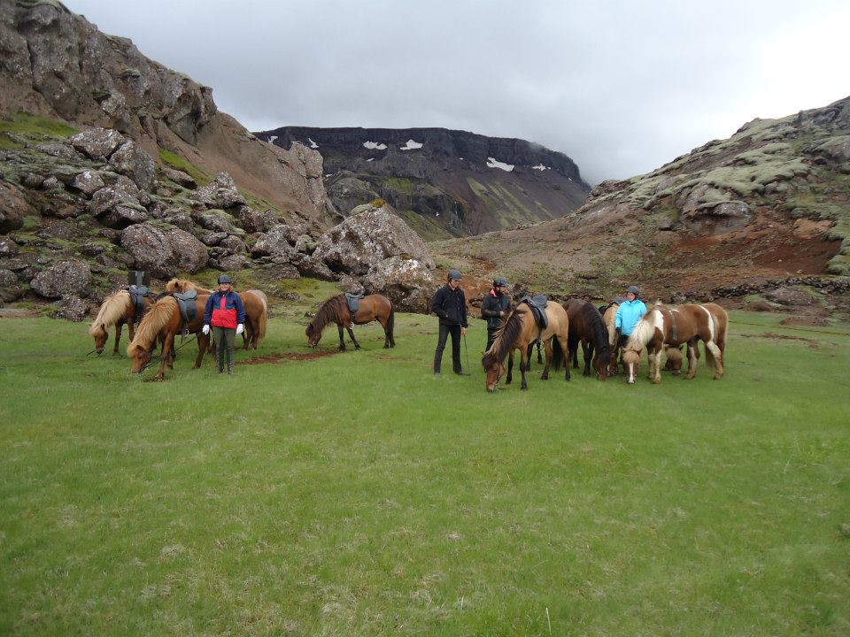 horse tour reykjavik