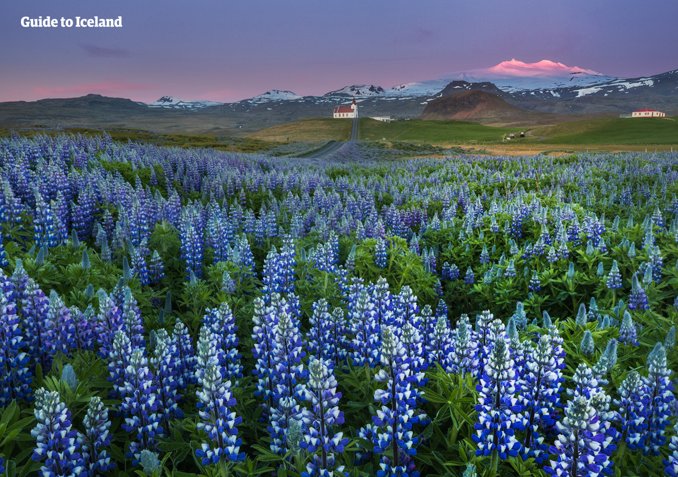 visit iceland in late may