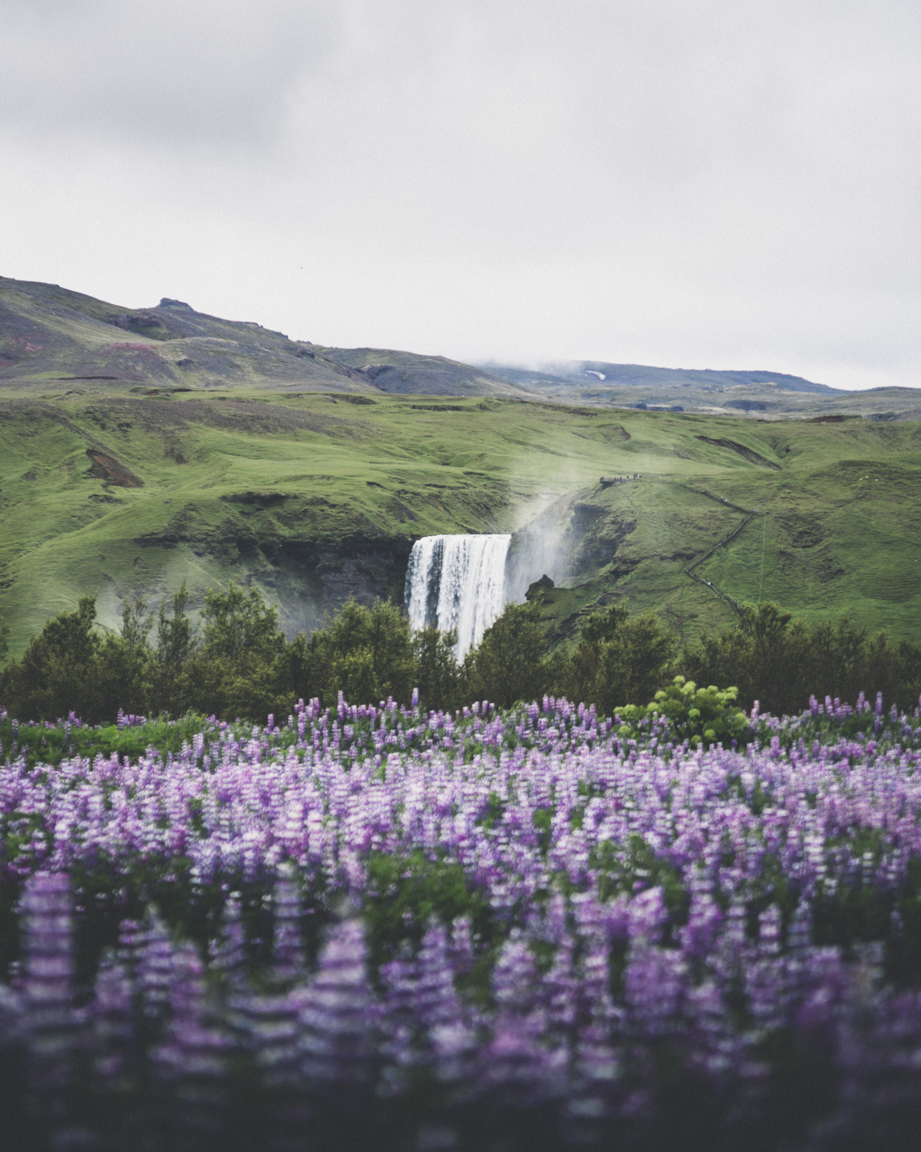 South Coast Adventure | 2 Day Tour With Jokulsarlon Glacier Lagoon ...