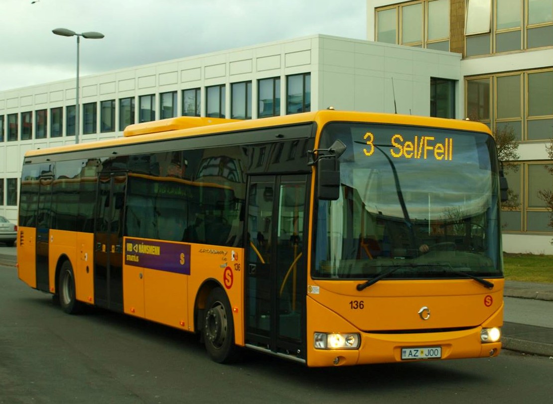 bus tours of reykjavik city